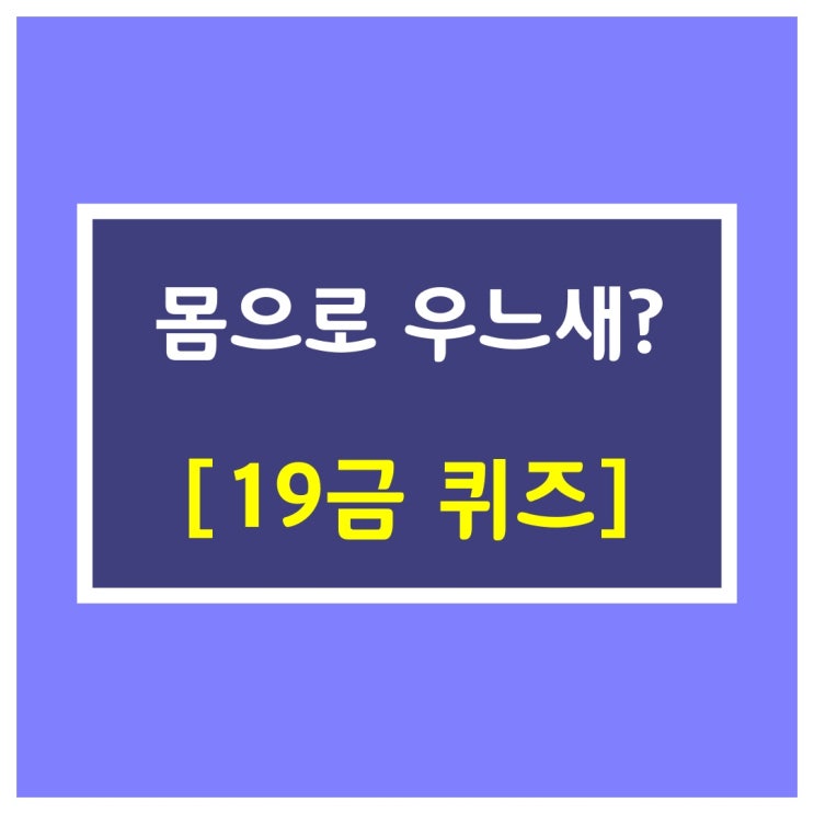 새이름 맞추기