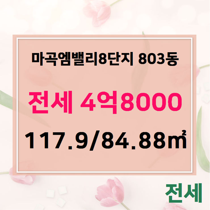  마곡동 마곡엠밸리8단지 803동 전세 4억8000 117.9/84.88 [마곡나루공인중개사] 마곡동부동산,마곡동아파트,마곡엠밸리,마곡한솔솔파크,마곡힐스테이트