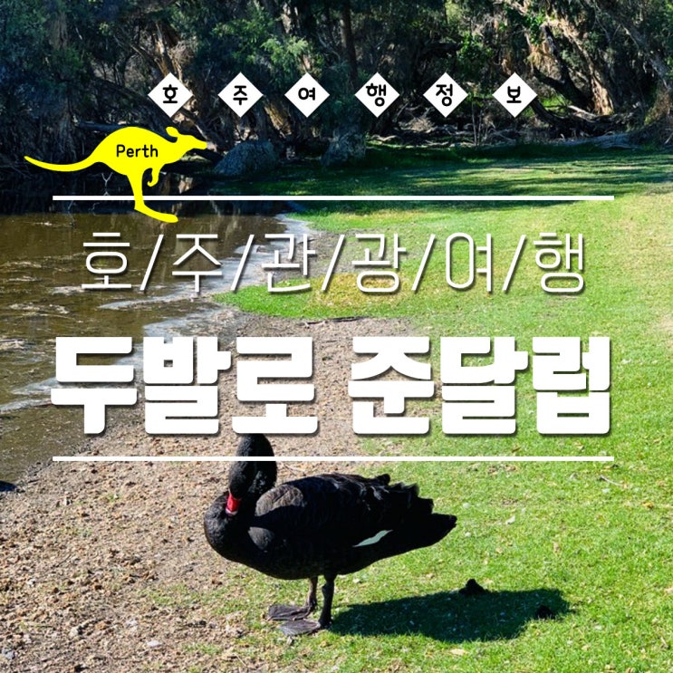  호주 퍼스 자전거 여행 : 자전거타고 준달럽가기. feat 블랙 스완