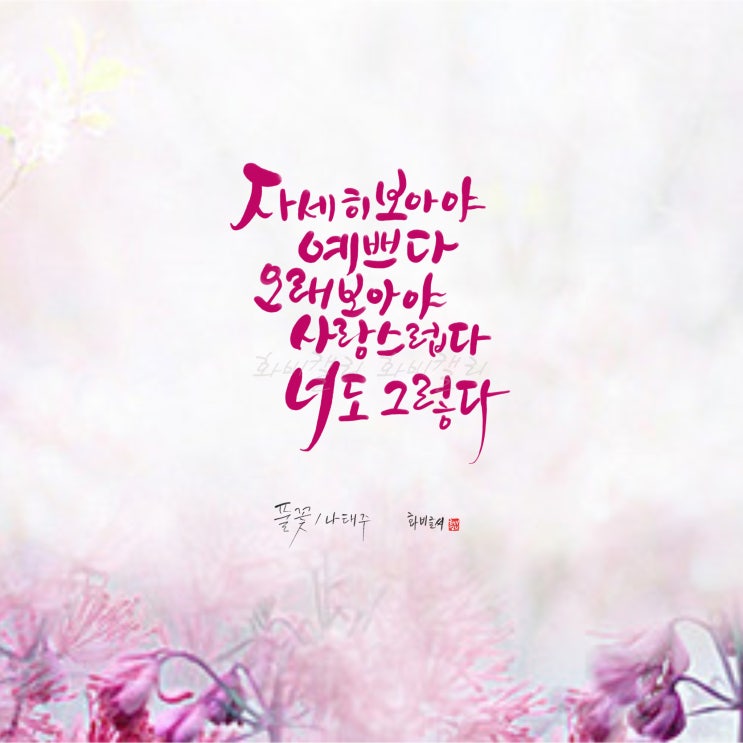  예쁜 손글씨 디지털감성 캘리그라피[풀꽃/나태주]