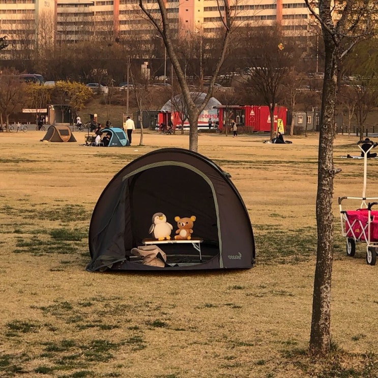  3월26일 ~ 오늘까지의 일상