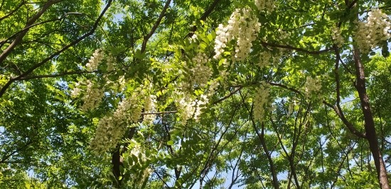  대학동기 등산모임 참석(2019.5.21)-이규석