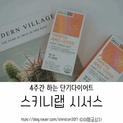  이다희 4주 단기다이어트 스키니랩 시서스