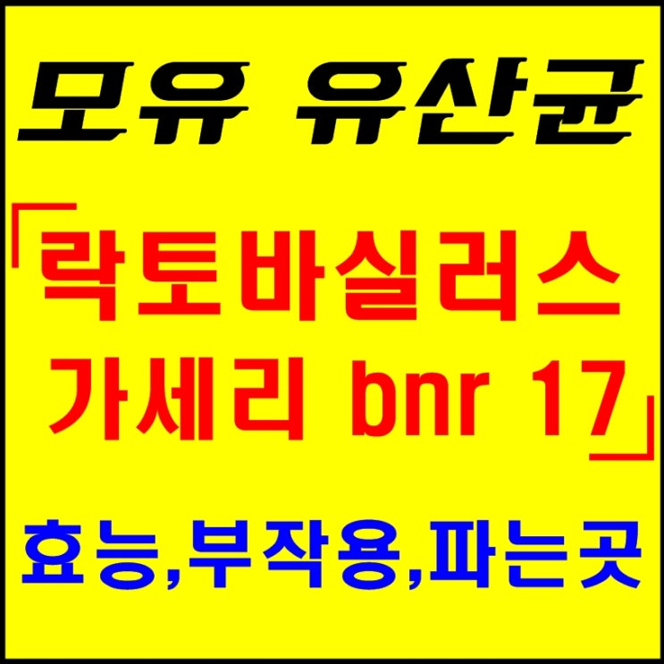  락토바실러스가세리 bnr 17 모유유래 유산균 다이어트 효과!