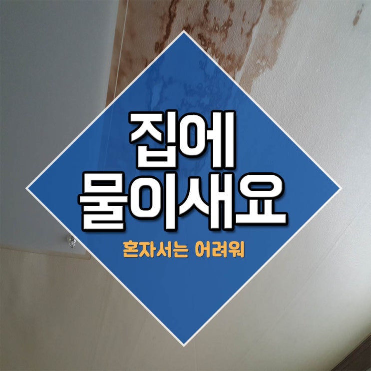  집에물이새요 혼자서는 어려워