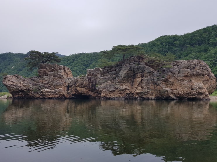  홍천강 배바위(마곡방면) # 강변의 자생식물들