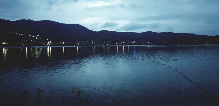 예산, 예당호 출렁다리, 진짜 출렁거릴까~