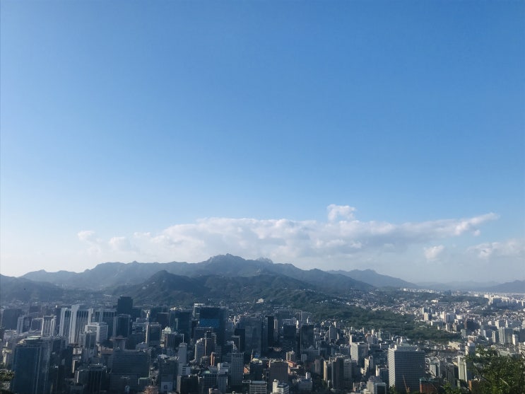  쓰고 싶은 글 요약