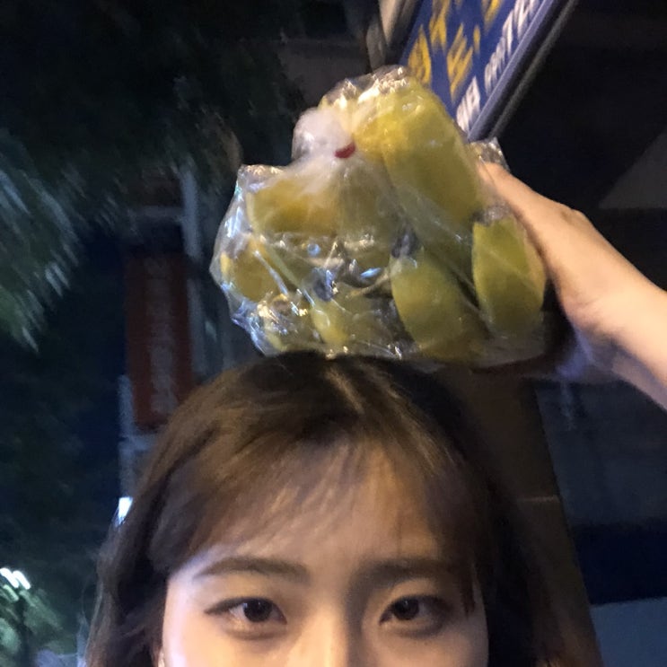  척척학부생 