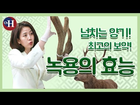  갖고싶은 정관장관절 검색해봐요