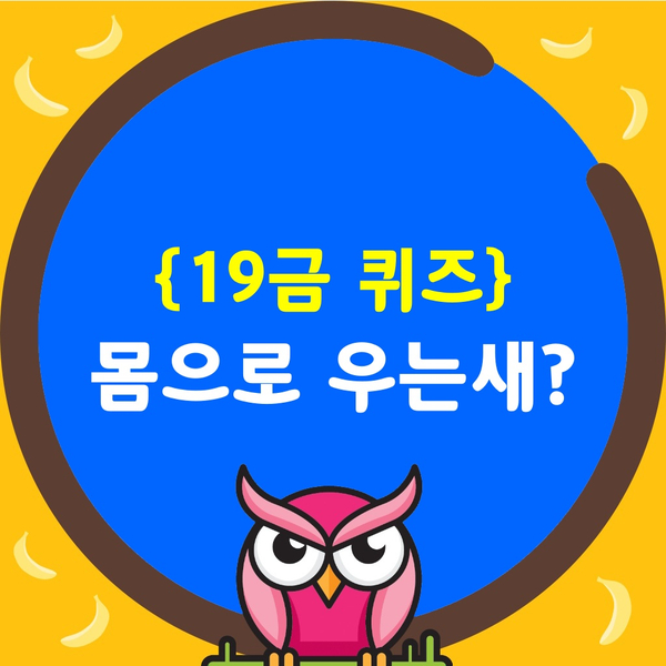  영화퀴즈-정말 야한새