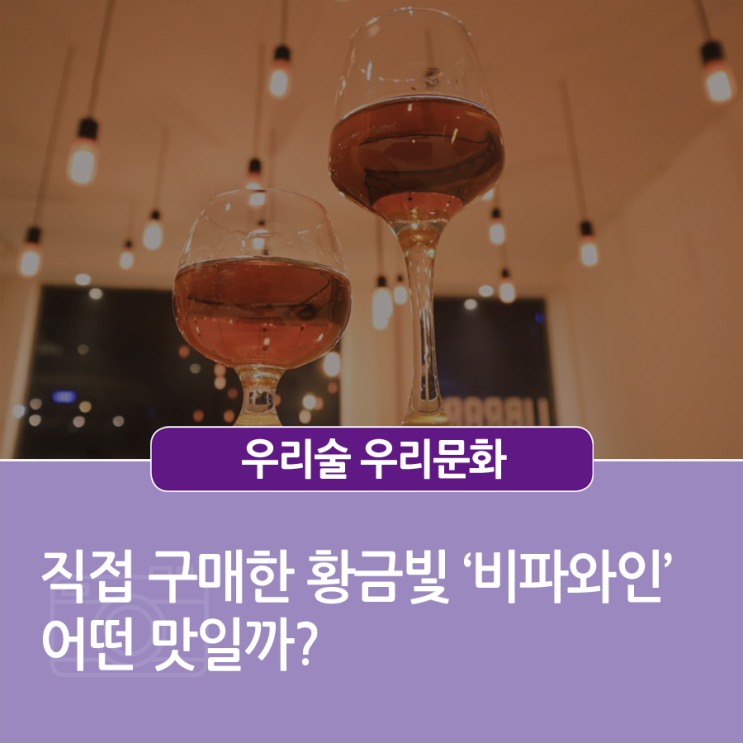  [우리 술 우리 문화] 직접 구매한 황금빛 ‘비파와인’ 어떤 맛일까?