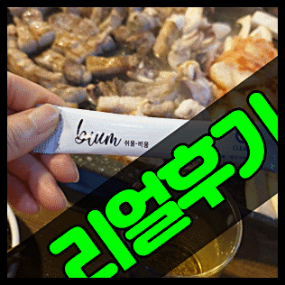  김하늘다이어트 쉬움다이어트 가격 후기