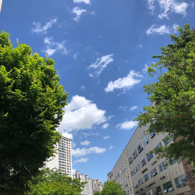  #109. 감사로 가득한 하루_20190520