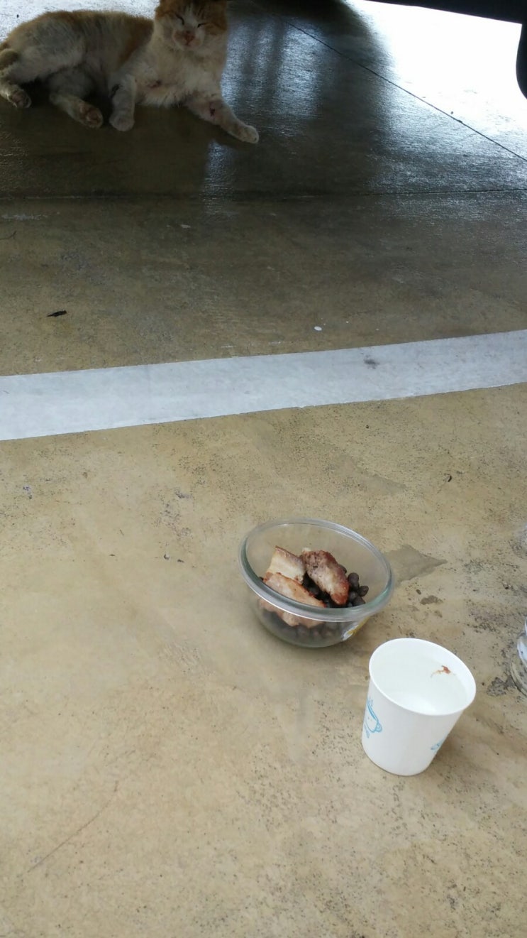  기다리던묘()