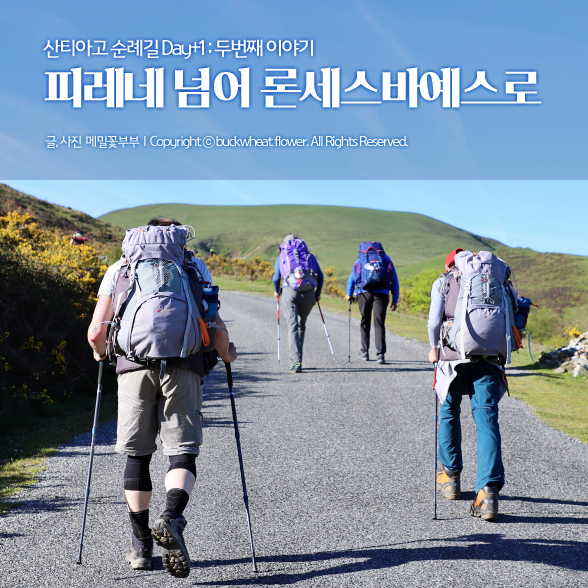  산티아고 순례길 Day+1 : 두번째 이야기, 화창한 피레네 / 론세스바예스 가는 길