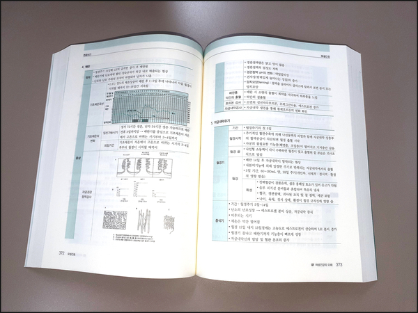  보건교사 시험 효과적인 준비가 필요한 이유!