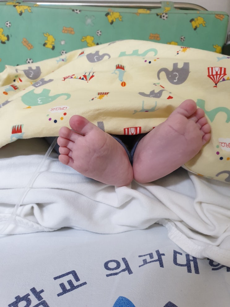  +802일 금귤이, +148일 금동이 :: 여름장마같이 길고 길었던 시간