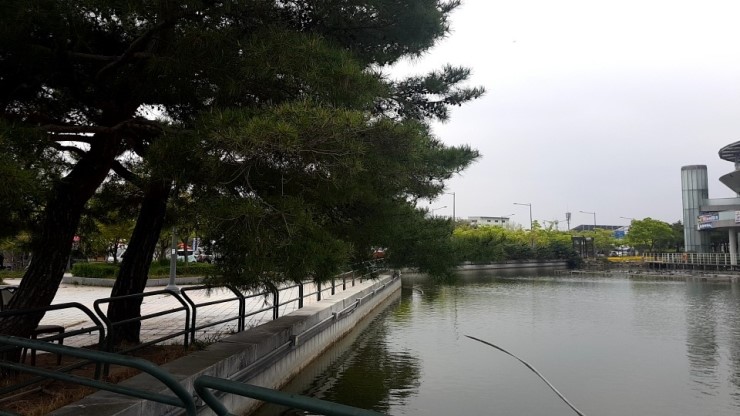  작년이맘때쯤658