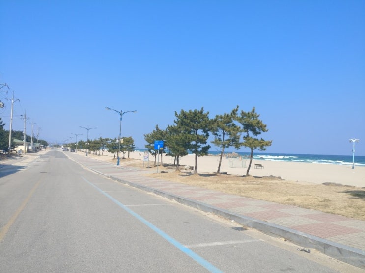  바닷가 토지의 종류(위치적 분석)