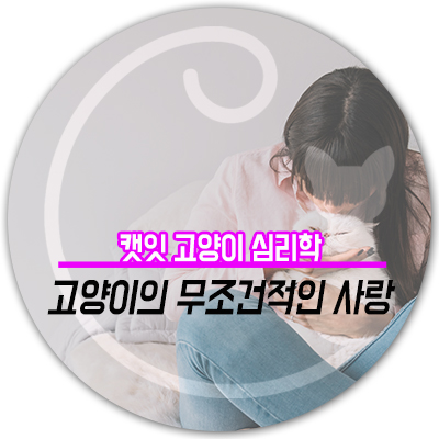  [캣잇 고양이 심리학] 고양이의 무조건적인 사랑