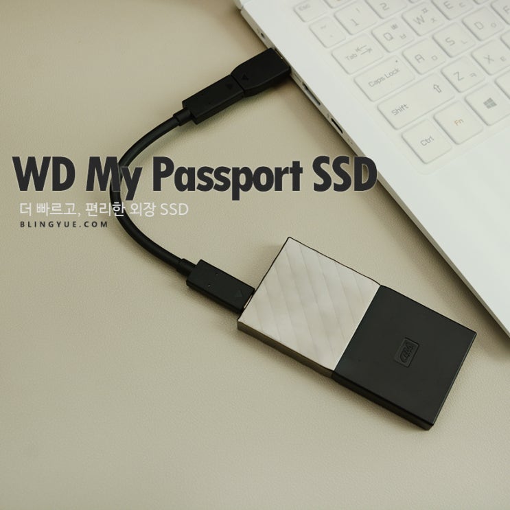 빠른 외장하드 추천 My Passport SSD