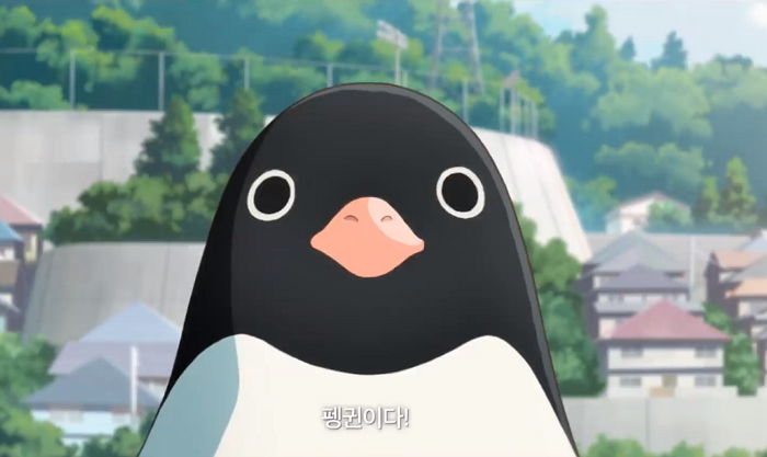  [일상] 펭귄문제, 그래서 정답이 머야?