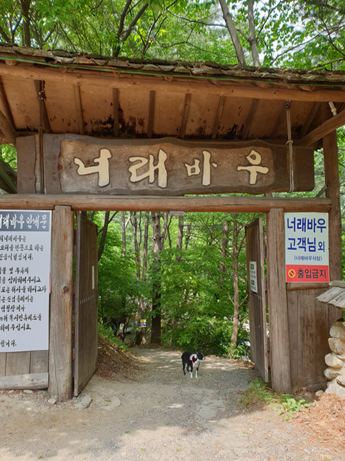 서울근교 당일치기 여행 with 릴비(너래바우 백숙)