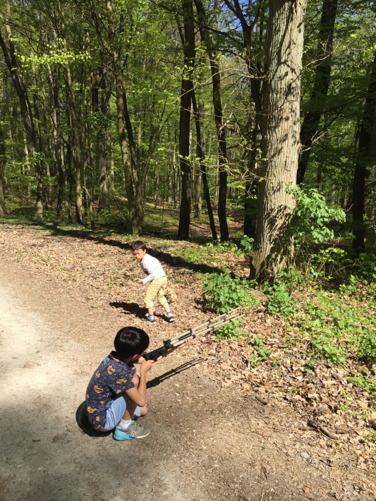  한가로운 동네산책