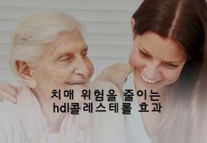  치매 위험을 줄이는 hdl콜레스테롤 효과