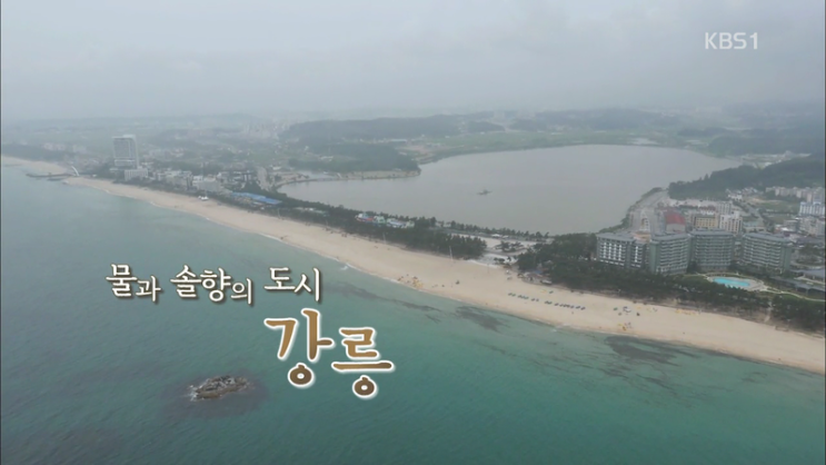  [여행프로리뷰] 행복한지도(20150718) _강릉여행_물과 솔향의 도시