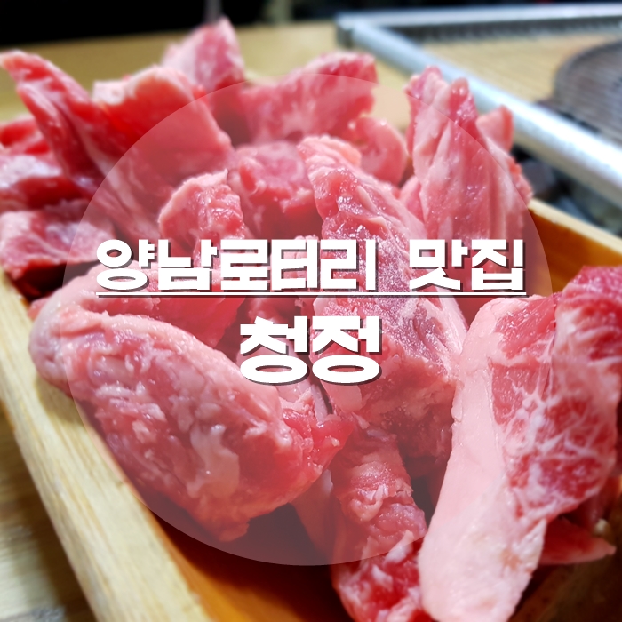  청정 화로구이 :: 입구부터 포스가 느껴지는 문래동 노포, 양남로터리 소갈비살 맛집