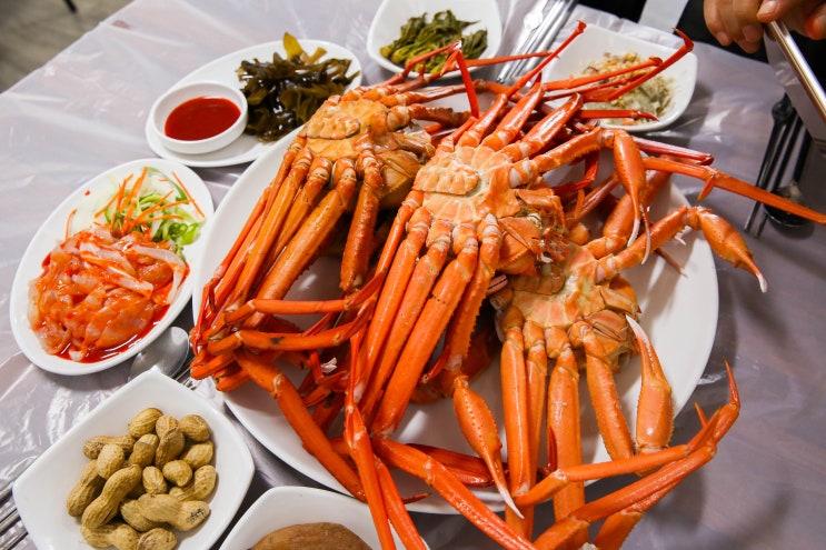  후포항 맛집 보기만해도 행복해진다~