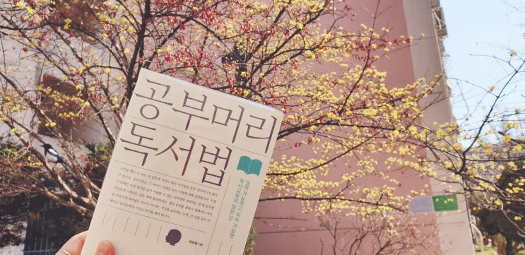  독서머리 공부법_흔들림 없는 평생 사교육. 최승필 지음