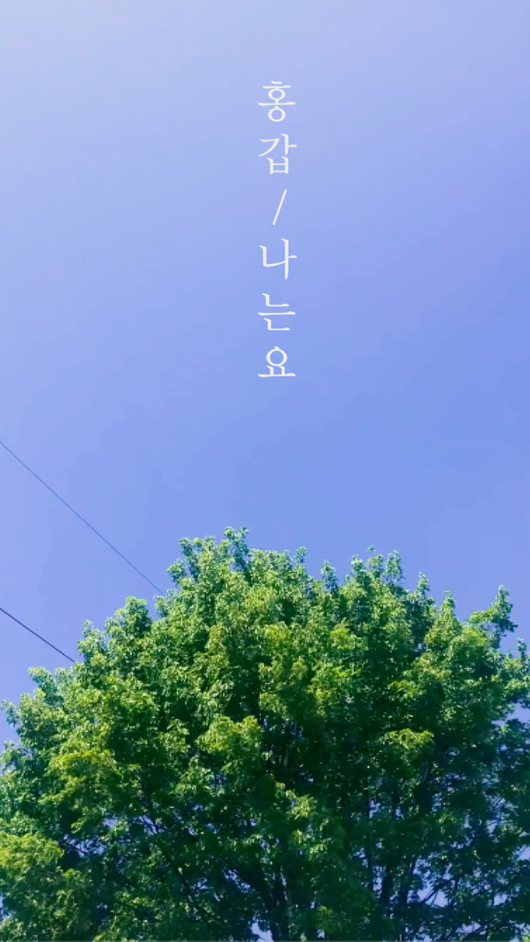  [Lyric Video] 홍갑 _ 나는요