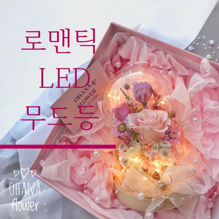  [부산프리저브드플라워] 로맨틱한 선물로 항상 찾아주시는 LED 유리돔 무드등 / 부산 수영 광안 프리저브드플라워전문 오하나플라워