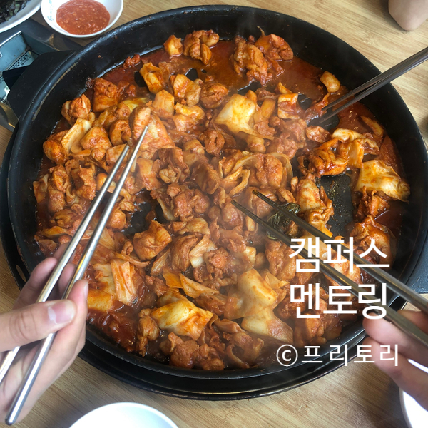  캠퍼스투어 신촌맛집 닭갈비제작소 뻔하지만 맛있어!