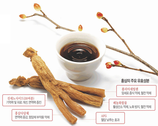  종근당(185750)주식 종목 분석! - 종근당의 투자이슈와 기업스토리-