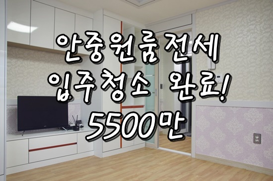  안중전세 안중원룸전세 귀한 송담지구 원룸전세에요^^ 안중터미널 3분거리에 추천드립니다!!