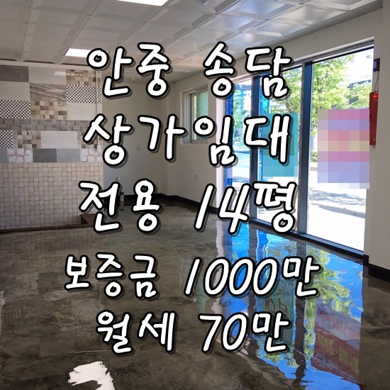  안중상가 송담지구 상가 구하기 추천 안중상가전문부동산 14평 저렴한 상가(신축이에요)