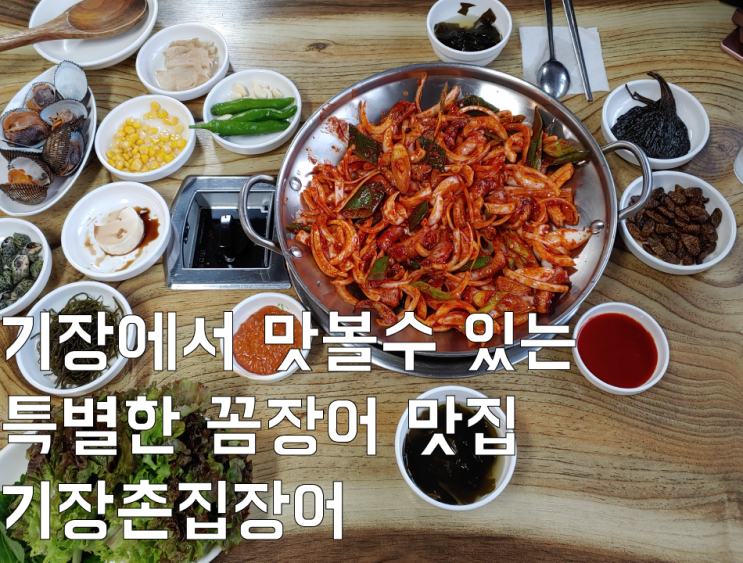  기장에서 맛볼 수 있는 특별한 기장꼼장어 맛집 기장 촌집 장어