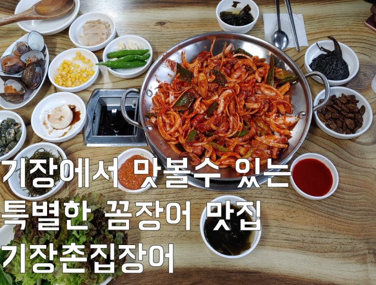 기장에서 맛볼 수 있는 특별한 기장꼼장어 맛집 기장 촌집 장어