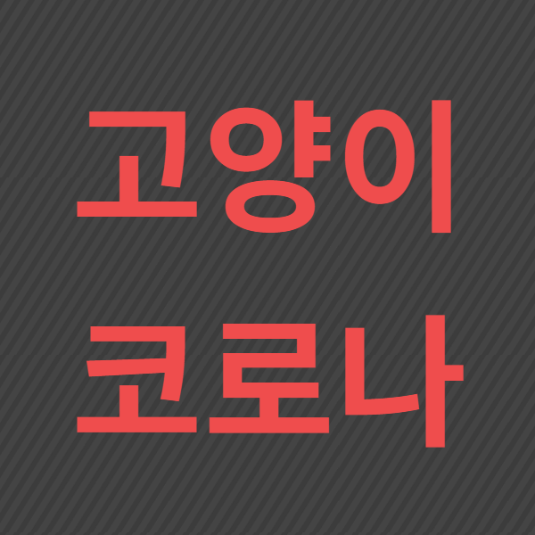 Feline corona virue 고양이 코로나 장염 바이러스가 왜 위험한가?