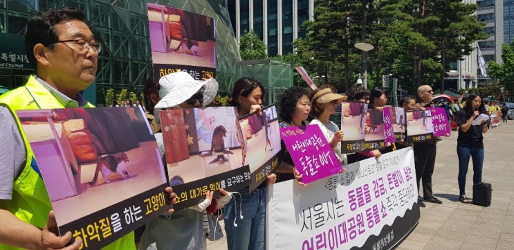  "어린이대공원 동물쇼 즉각 중단하라"