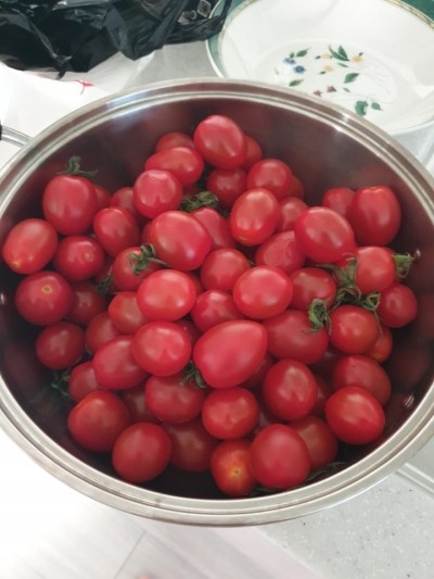  항상 아침은 방울토마토로 시작하기~