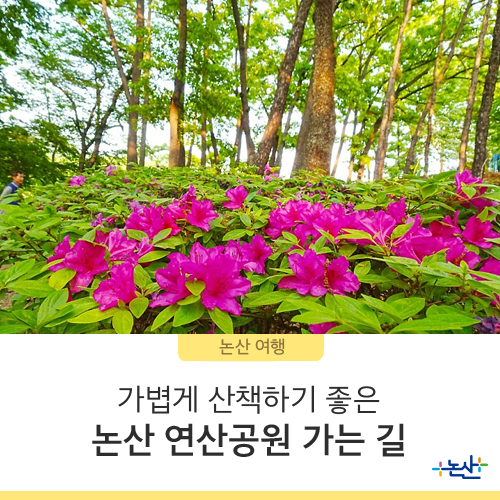  [논산여행] 가볍게 산책하기 좋은 논산 연산공원 가는 길