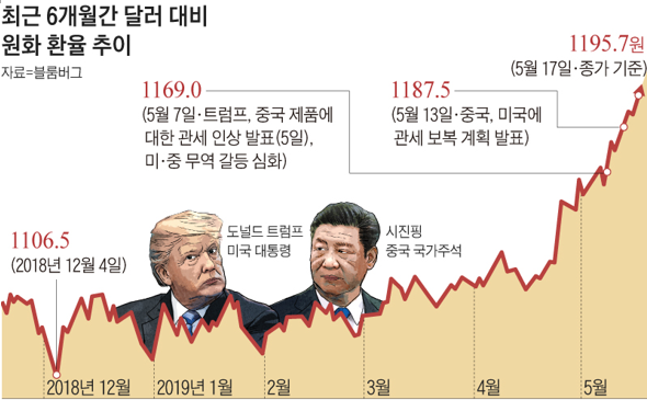  비틀거리는 자본주의: 환율 폭등의 공포