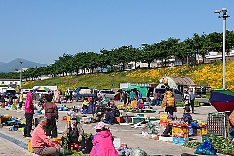 대관령농산물판매 이미지