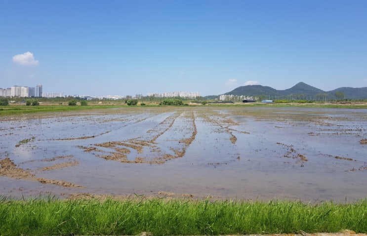  [세종의 소리] 세종시 중앙공원 조성 또다시 파열음 '총체적 난국'