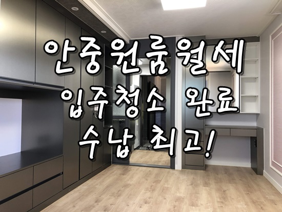  안중원룸월세 송담지구 신축원룸 입주언제든지 청소완료 수납이 너무 좋아요!!